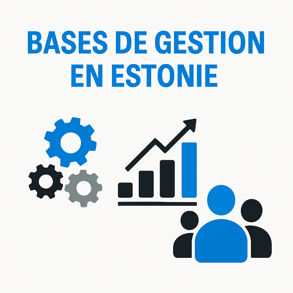 Les bases de la gestion d’entreprise en Estonie